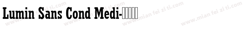 Lumin Sans Cond Medi字体转换